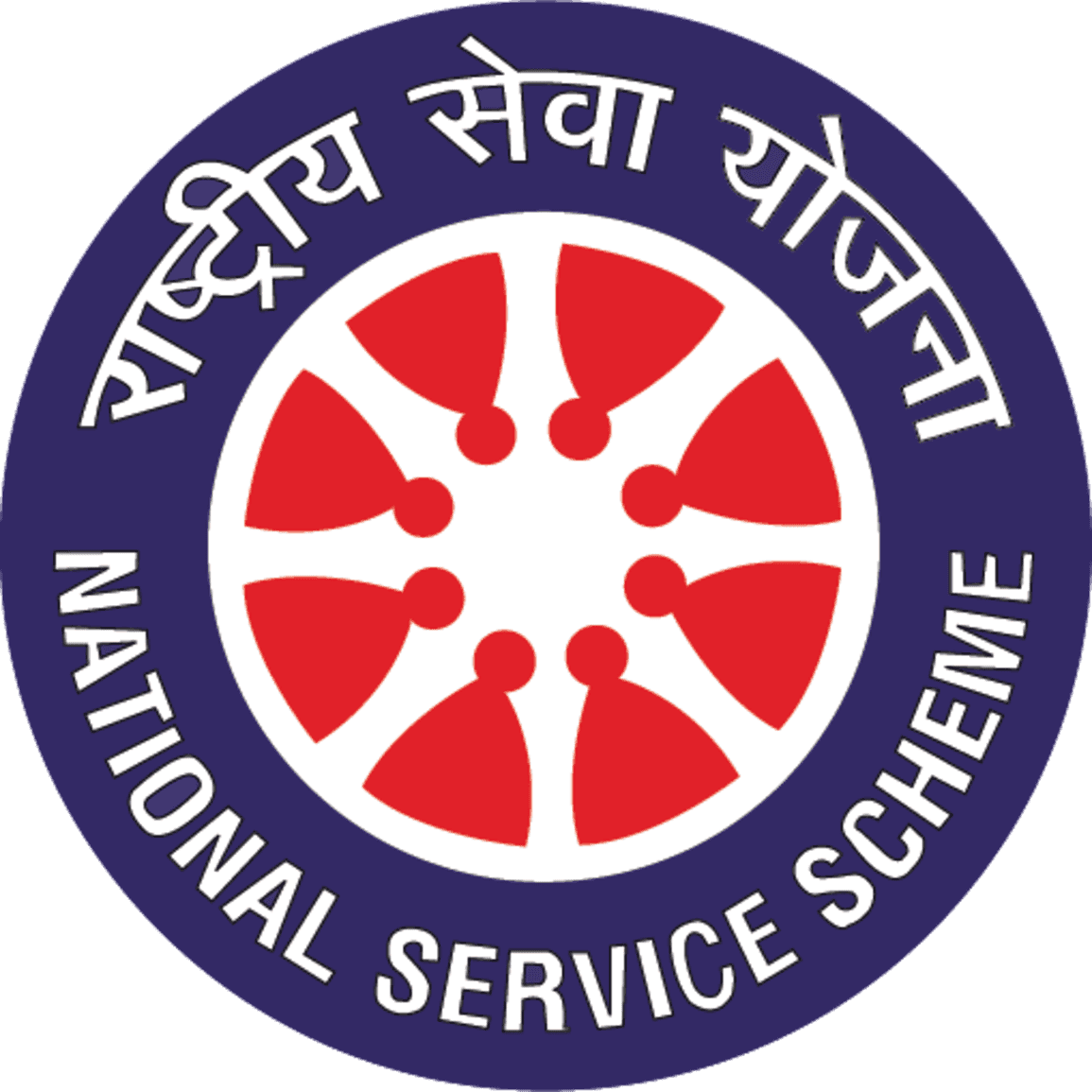 NSS Logo
